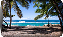 BeachPhoneStill