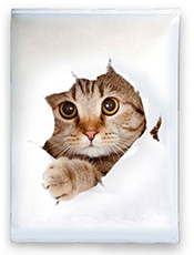 Kitten iPad
